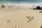 Beautiful seascape view. Shells and fancy pebbles on white sand and turquoise rolling waves on background.