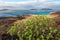 Beautiful seascape of volcanic island Lanzarote