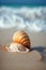 Beautiful seashell on the beach. Close-up. Selective focus.