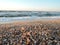 Beautiful seashell beach at sunset by the sea