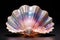 beautiful seashell on a black background, closeup of a photo, a captivating open sea pearl shell, AI Generated