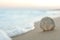 Beautiful seashell on sandy beach at sunrise. Space for text