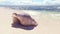 Beautiful seashell on a sandy beach, washed by the ocean wave. 3D Rendering