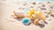 Beautiful seashells the sand natural coastline design