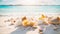 Beautiful seashells the sand natural coastline design summertime