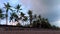 Beautiful seaside with palm tree grove and sandy shore against cloudy sky in twilight. Natural exotic background with