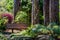 A Beautiful Secluded Park Bench in the Garden