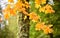 Beautiful selective focus shot of yellow autumn leaves and a mossy tree trunk