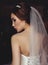 Beautiful sensual bride with dark hair in wedding dress