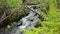 Beautiful serene small mountain creek waterfall in lush summer forest