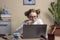 Beautiful serious teenage girl in glasses is engaged online on a laptop. A teenage girl stares intently at a laptop screen and