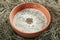 Beautiful Serving Vintage Ceramic Bowl of Homemade Kefir Soup Dovga