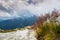 A beautiful setting in nature. Grass yarn growing on the rocks of the mountains. A sky with clouds and mountains that can be seen