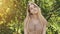 Beautiful seventeen year old girl blonde posing in the branches of an apple tree