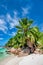 Beautiful Seychelle Island. Praslin tropical colors