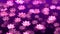 Beautiful Shadow Light Blossoming Pink Lotus Flowers Flying Up Scattered With Glitter Dust On Purple Background Seamless Loop