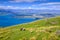Beautiful sheep pasture in New Zealand