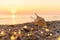 Beautiful shell with garland lights on the background of the sea and a beautiful sunset.