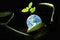 Beautiful and shiny earth with freshness growing green tree with bright light on the curve bent of betel leave. Image for