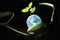 Beautiful and shiny earth with freshness growing green tree with bright light on the curve bent of betel leave. Image for