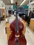 A Beautiful Shiny Stringed Bass Instrument on display in Music Store