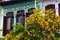 Beautiful Shop Houses along Emerald Hill, Singapore