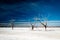 Beautiful shot of 3 frozen bare trees growing in a snowy ground and the dark sky in the background