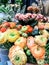 Beautiful shot of an assortment of flower bouquets in a retail store