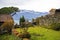 Beautiful shot of a backyard with trees and plants near a house with a mountain in the background