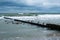 Beautiful shot of the Baltic sea from Darss Island, Germany with birds enjoying the water