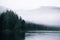 Beautiful shot of Baranof island with green lush pine forest on seashore covered in dense fog Alaska