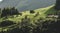 Beautiful shot of barns on a field surrounded by trees