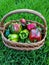 Beautiful shot of basket full with ripe and unripe colorful peppers in bright sunlight on bright green lawn