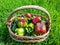 Beautiful shot of basket full with ripe and unripe colorful peppers in bright sunlight on bright green lawn