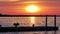 Beautiful shot of birds silhouette on a pier on the sea at sunset