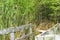 Beautiful shot of the boardwalk in the field n the Mer Bleue Conservation Area, Canada