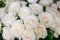 Beautiful shot of a bouquet of gorgeous fresh white roses