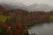 Beautiful shot of colorful autumn trees near a lake in the foggy mountainside