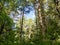 Beautiful shot of the Cooks Forest State Park in Clarion, Pennsylvania