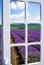 Beautiful shot of a door in a field of lavender in bloom