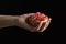 Beautiful shot of a female hand holding a pomegranate peel full of pomegranate grains