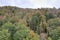 Beautiful shot of a forest in autumn in West Virginia