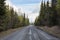 Beautiful shot of a forest of firs with a road leading to a snowy mountain in Alaska