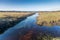 Beautiful shot of freshwater marsh in a grassy field in the New Forest, near Brockenhurst, UK