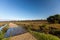 Beautiful shot of freshwater marsh in a grassy field in the New Forest, near Brockenhurst, UK