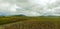 Beautiful shot of the gloomy sky over a wide agricultural field