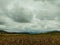 Beautiful shot of the gloomy sky over a wide agricultural field