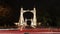 Beautiful shot of a glowing Albert Bridge in London during night time