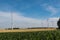 Beautiful shot of a grassland with wind turbines under the sunlight