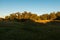 Beautiful shot of a green field with lots of lush trees in background on sunny day under blue sky